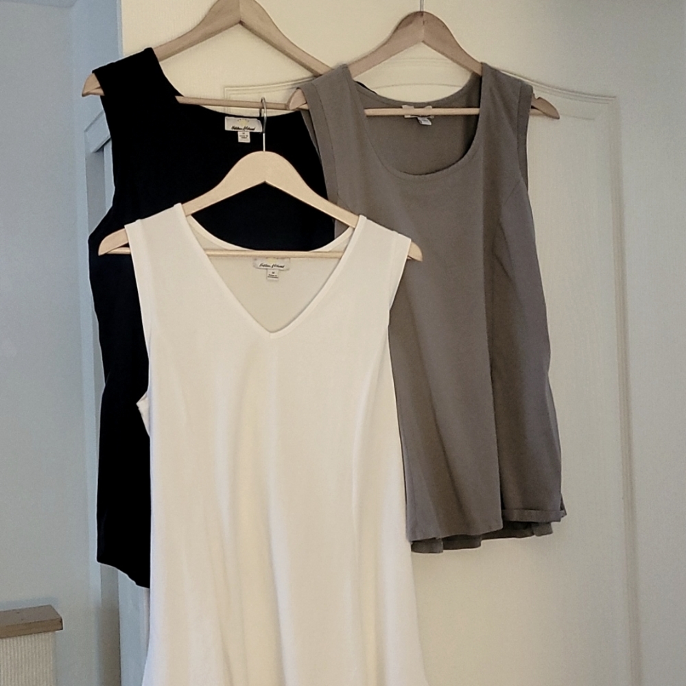 KATHLEEN KIRKWOOD Swing coming tunic 1X all 3